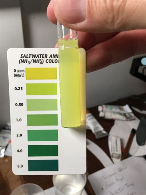 ammonia levels in saltwater